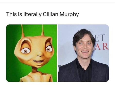 cillian murphy ant meme